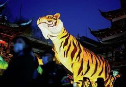 Kaplan Yılı nedir, özellikleri? 2022 Çin takvimi Kaplan Yılı nasıl geçer, ne alama geliyor?