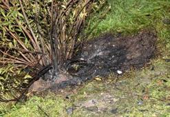 Kan donduran cinayette, valizden çıkan cesedin kimliği belli oldu