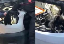 Araç motorunda mahsur kalan kediyi itfaiye kurtardı
