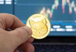 Shiba Coin neden yükseldi? Shiba Coin ne kadar oldu?
