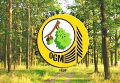 OGM 16.500 personel alımı ne zaman? Orman Genel Müdürlüğü personel alımı 2022 başvuru şartları nelerdir?