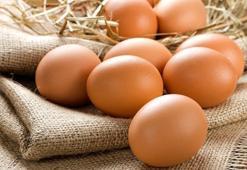 Fiyatlar bir yılda yüzde 50 arttı! Yumurtaya yeni zam gelecek mi?
