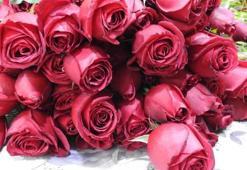 Çiçekçiler bu yıl satışlardan umutlu!