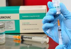 Turkovac aşısı ile ilgili antikor açıklaması! 8 kat daha fazla...