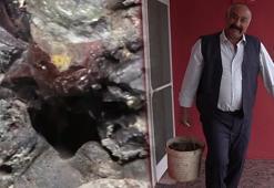 Mantar toplamaya çıktı, tesadüfen gördü! 180 bin dolara satıldığını öğrenince...