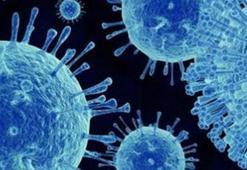 Norovirüs nedir? Bilecik’teki salgının nedeni norovirüs belirtileri nelerdir, neden olur, öldürür mü?