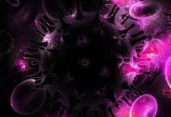 Dünya’da 3’üncü kişi HIV virüsünü yendi