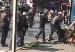 İstanbul'un göbeğinde pitbull dehşeti! Tartıştığı kişilere saldırttı!