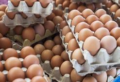 Yumurta fiyatı ne kadar oldu? Yumurta fiyatları arttı mı? Yumurta zam soruşturması!