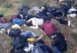 MİT tespit etti, Jandarma yakaladı! 88 kaçak göçmen...