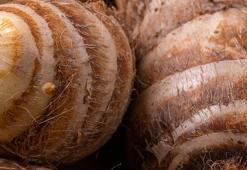 Kan şekerini dengeliyor, kolesterolü düşürüyor, kanseri önlüyor! Tam bir vitamin ve probiyotik deposu...