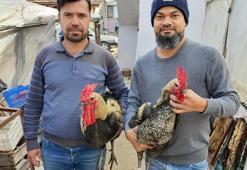 Yumurtanın tanesini 50 liraya satıyorlar! Paraya para demiyorlar