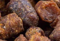 Kansere neden oluyor, çocukları ölüme götürüyor! Hepsi çok zararlı, sakın bunu yapmayın...