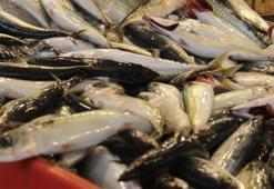 Uzun yıllardır görünmüyordu, yeniden tezgahlara düştü! Kilosu...