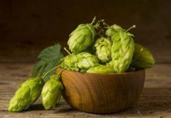 Ş harfi ile bitki isimleri - Ş ile başlayan bitkiler...