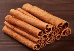 T harfi ile bitki isimleri - T ile başlayan bitkiler...