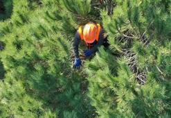 Yangın işçisi alımı şartları nelerdir, OGM 5 bin yangın işçisi alımı 2022 başvuruları ne zaman, nasıl yapılacak?