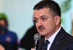 Pakdemir'den ilk açıklama geldi!