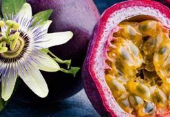 Cinsel gücü artırıyor, tam bir ağrı kesici! Bağışıklığı güçlendiriyor, kalsiyum ve vitamin deposu...