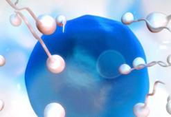 Sperm kalitesini düşürüyor! Cinselliği bitiriyor