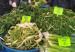 Bağışıklılığı güçlendiriyor! Sinire iyi geliyor! Şifa deposu