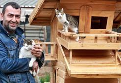 Sokak hayvanları derneği başkanına 'görevi kötüye kullanmak'tan hapis