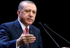 Cumhurbaşkanı Erdoğan’dan 112 çınarın kesilmesine tepki: Konunun takipçisi olun!