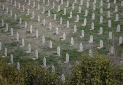 Halepçe Katliamı nedir, nasıl oldu? Halepçe Katliamı ne zaman oldu, kim tarafından neden yapıldı?