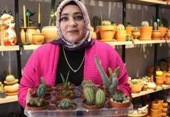 Kaktüs merakı 40 yaşındaki kadın girişimciyi iş sahibi yaptı
