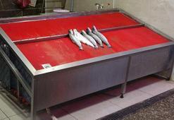 Balık fiyatları uçuşa geçti! Kilosu 500 lira...