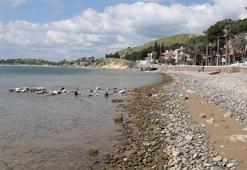 İzmir Foça'da deniz 20 metre kadar çekildi