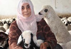 Şehir hayatını bıraktı köyde çiftlik kurdu! Aldığı hibe ile paraya para demiyor, 880 bin lira...
