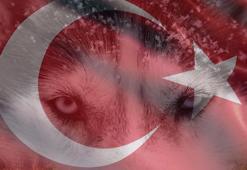 Oğuzlardan Kayılara hangi Türk boyu hangi ilde yaşıyor? İşte geçmişten günümüze Türklerin kurduğu devletler...