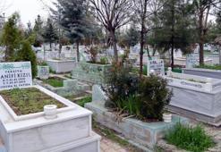 Yeni mobil uygulama ile mezarlıklar kolayca bulunuyor