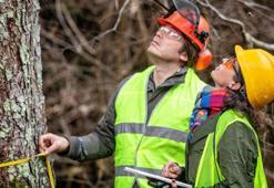 Tarım ve Orman Bakanlığı personel alımı ne zaman? Orman Genel Müdürlüğü ve DSİ personel alımı başvuruları ne zaman başlıyor?
