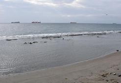 İzmir'den sonra Tekirdağ'da da görüldü! Deniz 10 metre çekildi