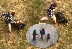 Gezdirdiği köpeğine tekme attı, gözaltına alındı! Köpek belediyeye ait barınağa götürüldü