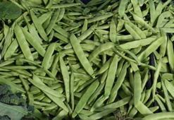 Fasulye, domates, patlıcan, biber, salatalık fiyatlarında flaş gelişme! 100 liradan satılıyor