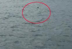 İstanbul Boğazı'nda mayın alarmı! Gemi trafiğine yeniden açıldı