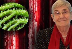 Lösemi tedavisinde kullanılıyor, şeker ve tansiyona deva! Afrodizyak etkisi var, astım, nefes darlığı, soğuk algınlığı...