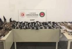 Sınır kapılarında hayvan kürkü ile postları ele geçirildi!