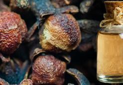 Kanserli hücreleri öldürüyor, şeker hastalığına iyi geliyor! Cinsel gücü artırıyor, eklem, kas ve romatizma...