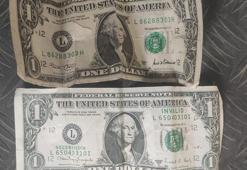 ABD'li FETÖ şüphelisi, örgüt üyelerinin ailelerine 200 bin dolar dağıtmış