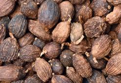 Kan basıncını düşürüyor, felç riskini azaltıyor! Tam bir vitamin ve antioksidan deposu, potasyum, kalsiyum ve magnezyum...