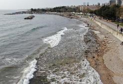 İstanbul, Kadıköy'de tedirgin eden görüntü! Hepsi ortaya çıktı, vatandaşlar şaşırdı