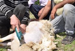 Talebe yetişemiyor, aylık kazancı 60 bin lira..