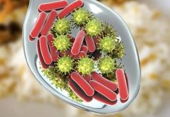 Erişkinlere Hepatit A uyarısı