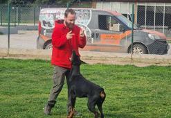 Köpek saldırısından kaçınma yolları: Kesinlikle göz teması kurmayın