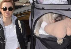 Yüsra Geyik köpeğini bebek arabasında gezdirdi
