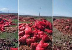 Aksaray'da skandal görüntü! Tonlarca soğanı döktüler, soruşturma başlatıldı